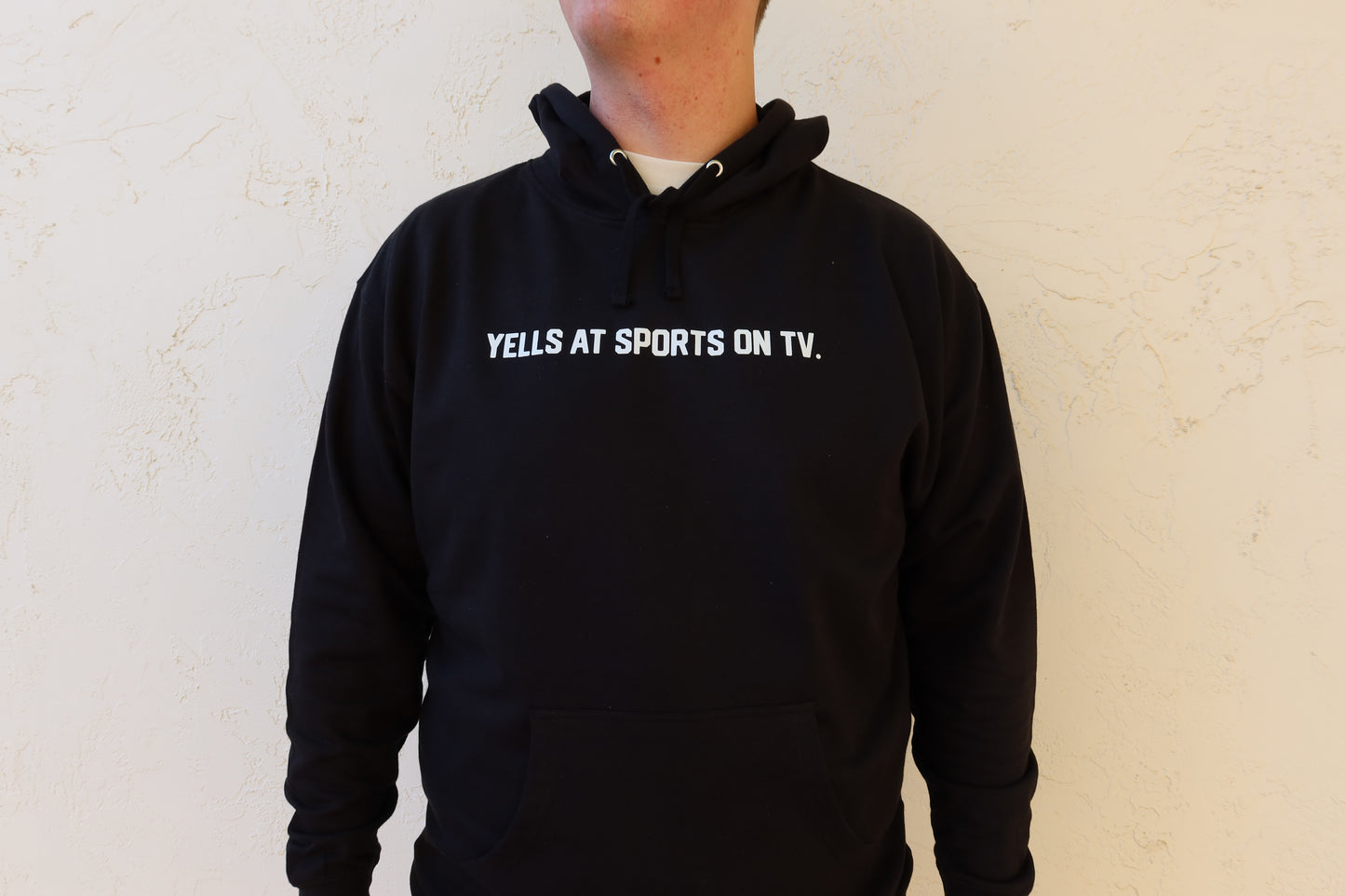 Yells at Sports on TV - Jordan Hoodie